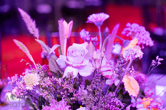 240610ARTAnnualGalaEVT-013