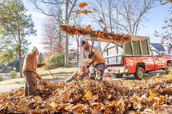 241125WMLStaffAndWorkPOR-109