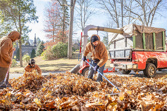 241125WMLStaffAndWorkPOR-103