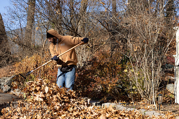 241125WMLStaffAndWorkPOR-196